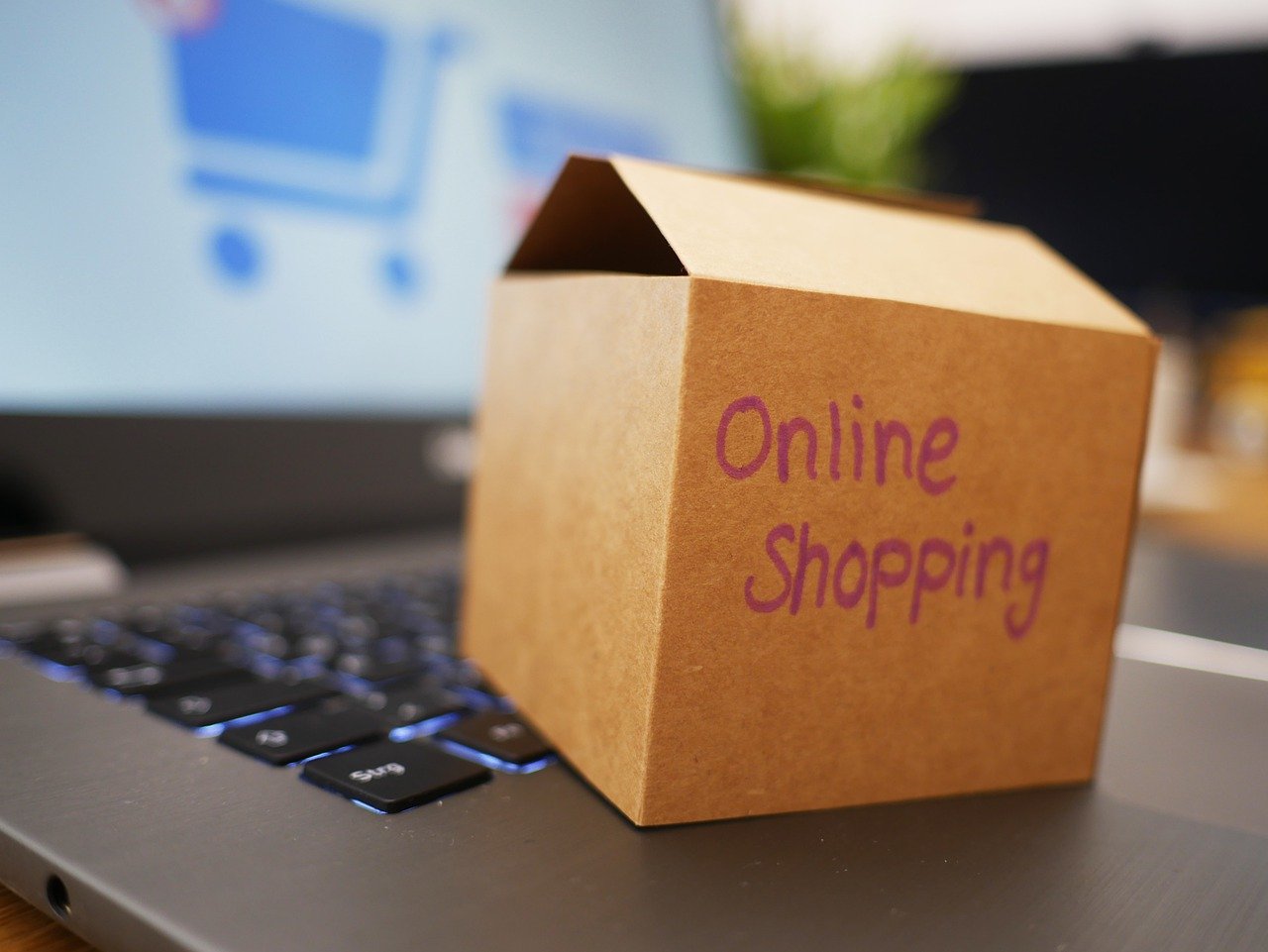 E-Commerce Entwicklung